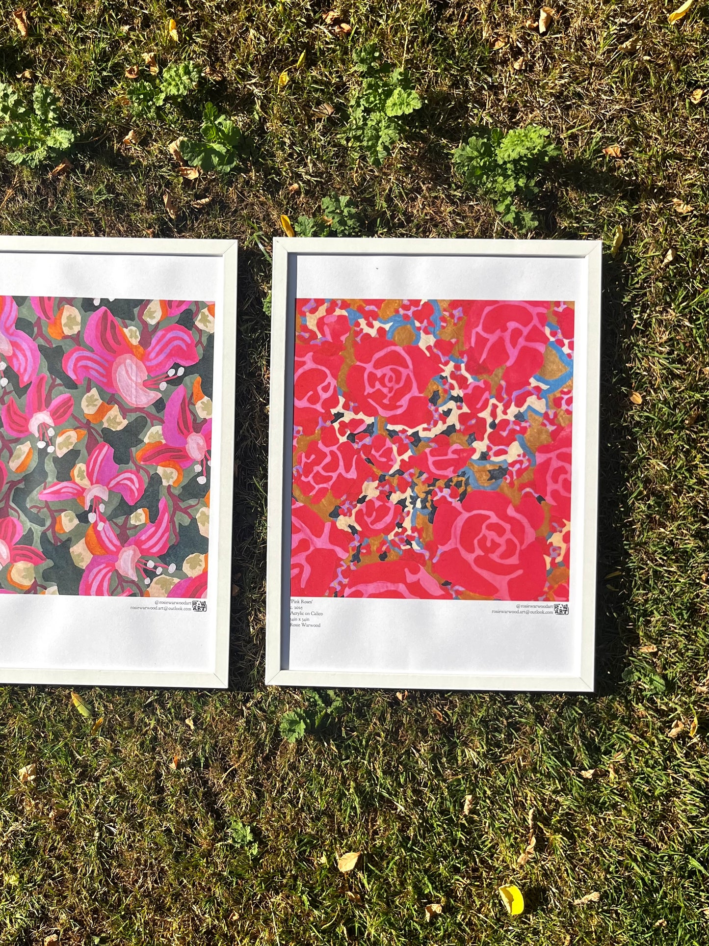 'Pink Roses' A3 Poster Print