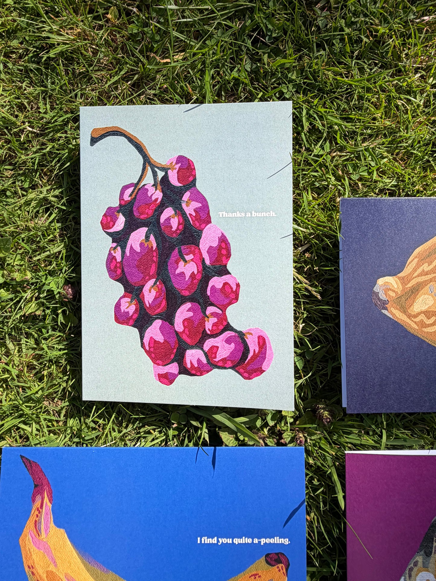 Pack of 4 Fruit Greeting Cards