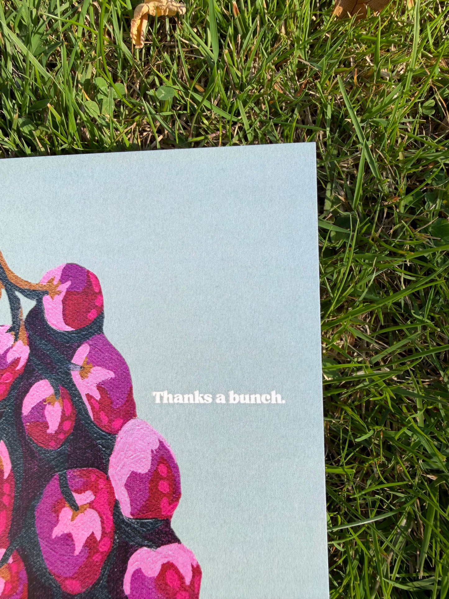 Pack of 4 ‘Thanks a bunch’ Greeting Cards